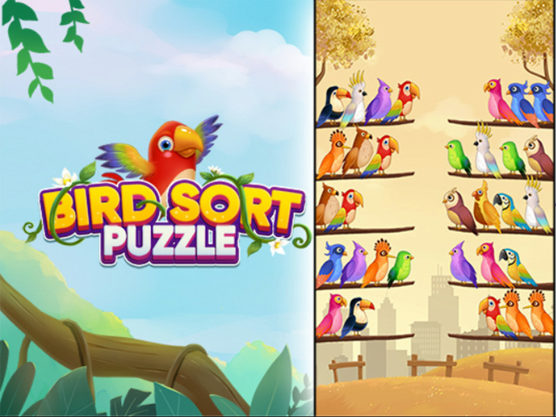 Hra Puzzle třídění ptáků