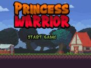 Hra Princezna Warrior