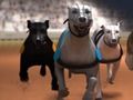 Hra Greyhound Racing
