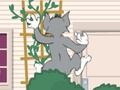 Hra Tom a Jerry: Wasserbomben Wahnsinn 