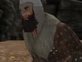 Hra Vikingové 