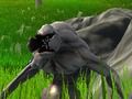 Hra Obrana monster