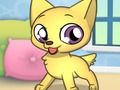 Hra Princezna Pet Studio 