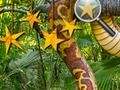 Hra Jungle skryté hvězdy 