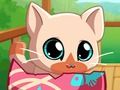 Hra Můj Pocket Pets Kitty Cat 
