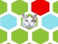 Hra Trap Cat 