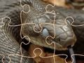 Hra Tajemní hadi: Puzzle 