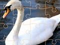 Hra Swan Puzzle Challenge