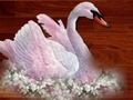 Hra Love Birds Puzzle