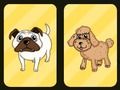Hra Happy Dog Memory