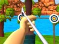 Hra Master Archery Shooting