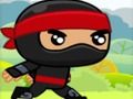 Hra Ninja