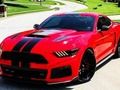 Hra Fancy Mustang rozdíly 