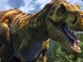 Hra Jungle Dino Hunter