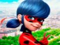 Hra Kolekce skládaček LadyBug 