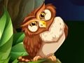 Hra Shooter Owl