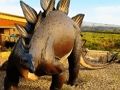 Hra Stegosaurus dinosaur Jigsaw