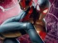 Hra Spider Man Shooter