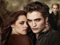 Hra Sbírka skládaček Twilight skládačky