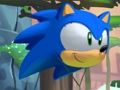 Hra Sonic Basket Adventure