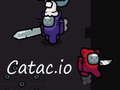 Hra Catac. io 