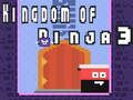 Hra Království Ninja 3 