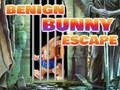 Hra Beign Bunny Escape 