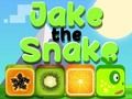 Hra Jake The Snake