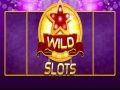 Hra Divoký slot 