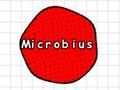 Hra Mikrobius Hra Mikrobius