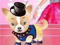 Hra Dressup pro Barbie's Dog 