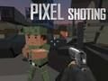 Hra Pixelové fotografování 