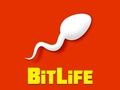 Hra Bitlife
