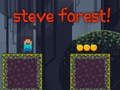 Hra Steve Forest