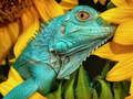 Hra Ultimate Puzzle Animals 6 