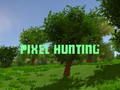 Hra Lov pixelů