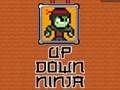 Hra Nahoru Dolů Ninja 