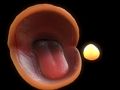 Hra Pac-Man