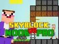 Hra Noob vs Pro Skyblock