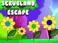 Hra Scrubland Escape