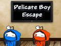 Hra Delikátní Boy Escape 