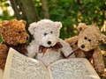 Hra Plyšová skládačka Three Teddy 
