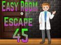 Hra Amgel Easy Room Escape 45
