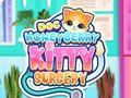 Hra Doc HoneyBerry Kitty chirurgie 