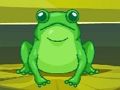 Hra Frog Match Master