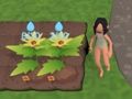 Hra Garden Rush. Zelenina uniknout 