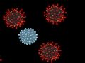 Hra Zabijte virus 