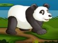 Hra Fotbalová panda 