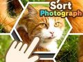 Hra Seřadit fotografii 