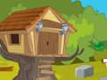Hra Acorn Quest Adventure Escape